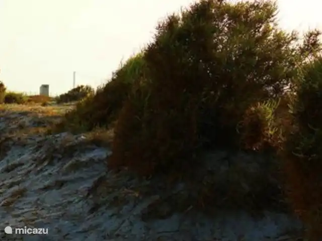 Location de Vacances Espagne, Costa Blanca, La Marina, finca - Casa nature à 5 min en voiture de la plage Région