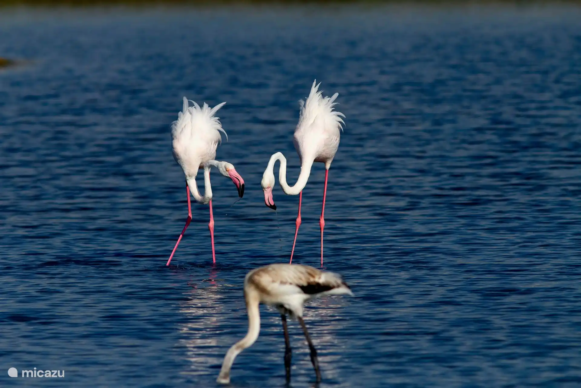 Alentours près de la plage