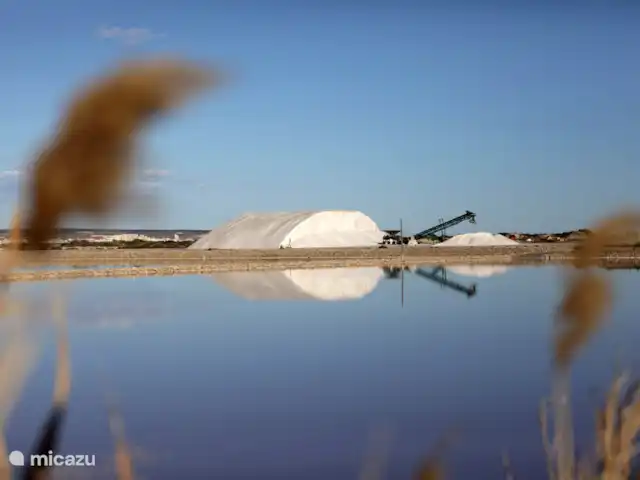 Location de Vacances Espagne, Costa Blanca, La Marina, finca - Casa nature à 5 min en voiture de la plage Environs de salinas