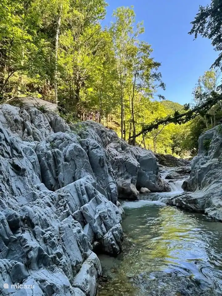You can cool off in the river in front of our house.