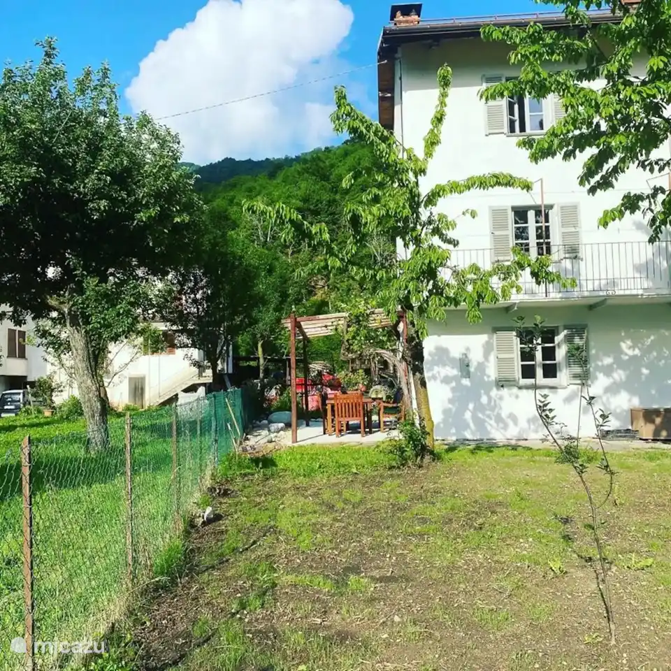 Breakfast under the grapes.