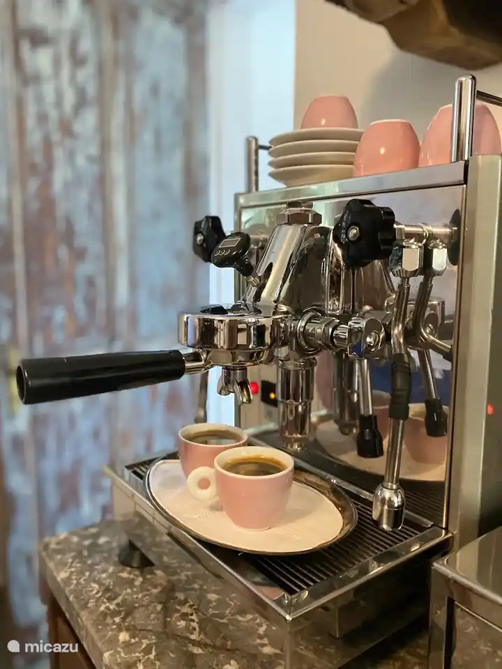 Real Italian coffee with our Butterfly.