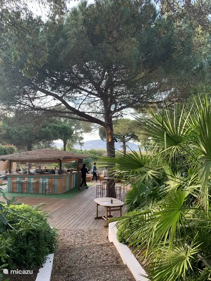 Viele Restaurants in der Nähe