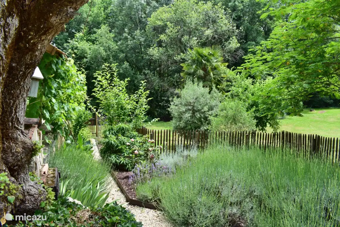 garden and lawn