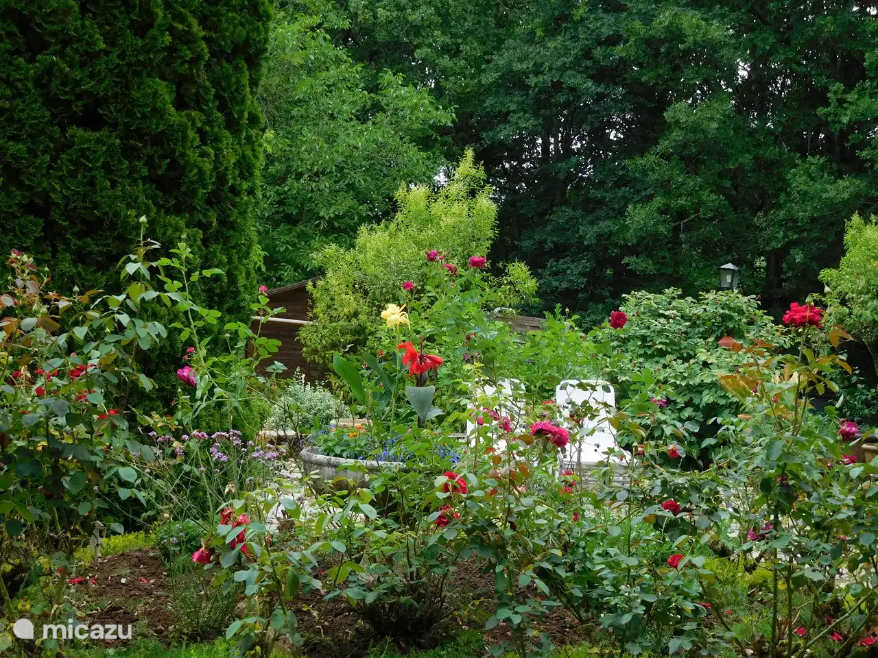 Genießen Sie das Grün um Sie herum.