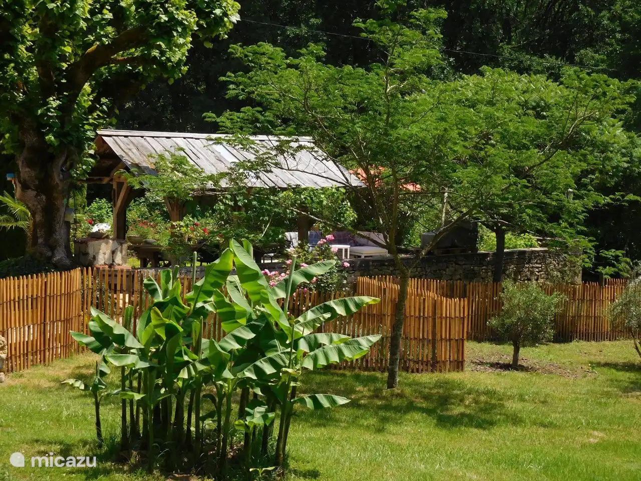 Köstlich unter dem Baldachin.