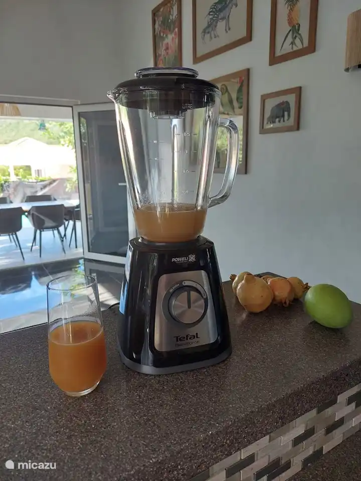 Mettez les fruits du jardin dans ce blender et vous aurez une délicieuse boisson