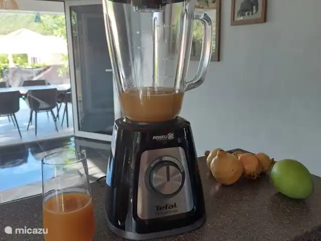 Villa Shimaruku | Curaçao, Banda Abou (ouest), Fontein - villa Mettez les fruits du jardin dans ce blender et vous aurez une délicieuse boisson