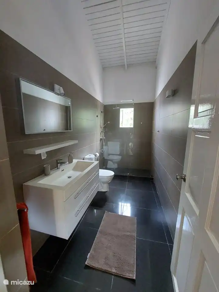 Salle de bain avec pare-douche et douche pluie