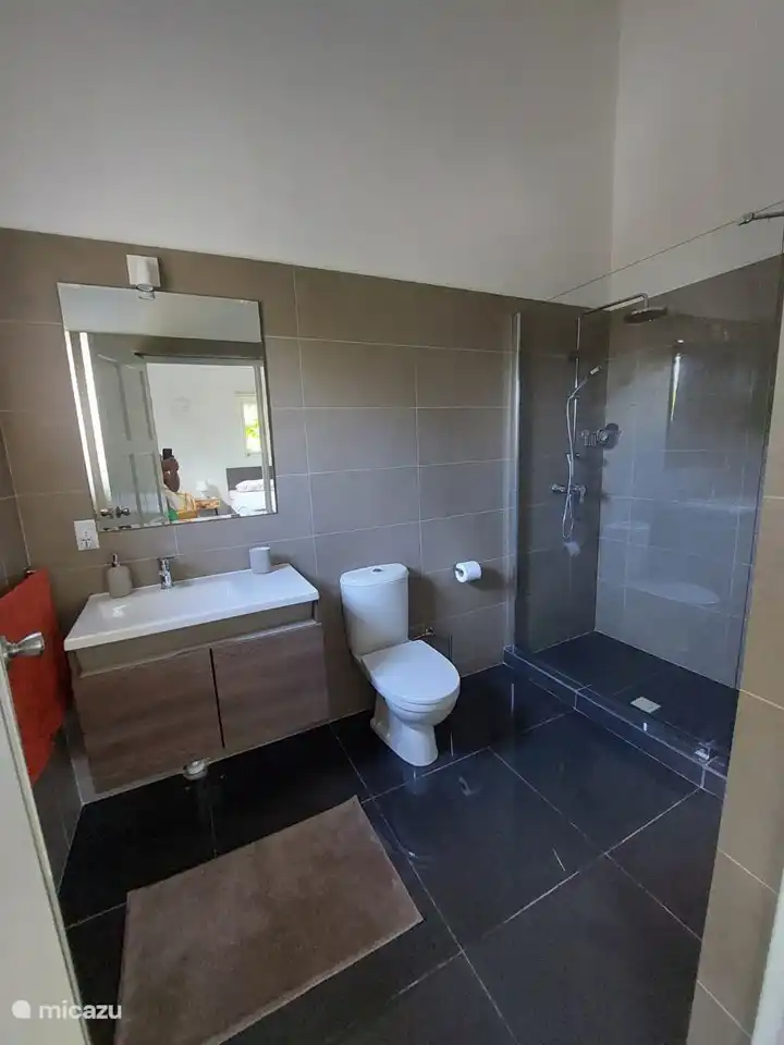 Salle de bain avec pare-douche et douche pluie.