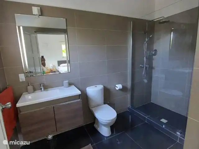 Villa Shimaruku | Curaçao, Banda Abou (ouest), Fontein - villa Salle de bain avec pare-douche et douche pluie.