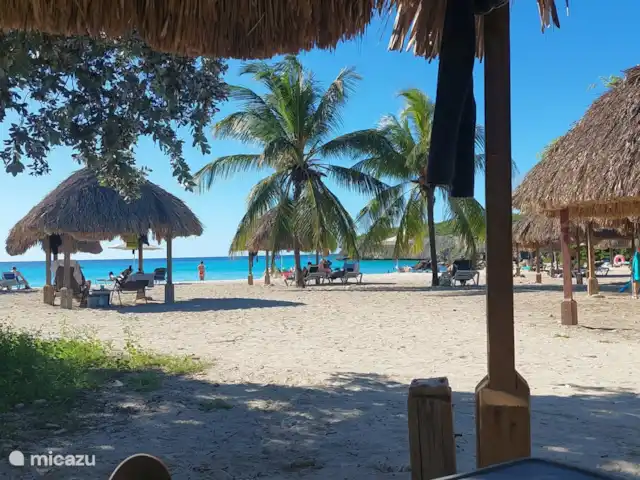 Villa Shimaruku | Curaçao, Banda Abou (ouest), Fontein - villa Daiboo