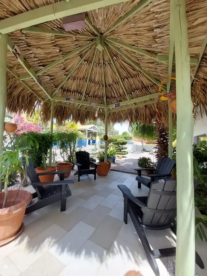 Vous pouvez vous asseoir confortablement au vent sous cette palapa spacieuse et haute.