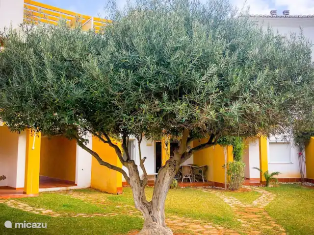 Casita de Dénia au bord de la mer! | Espagne, Costa Blanca, Dénia - appartement Parasol naturel