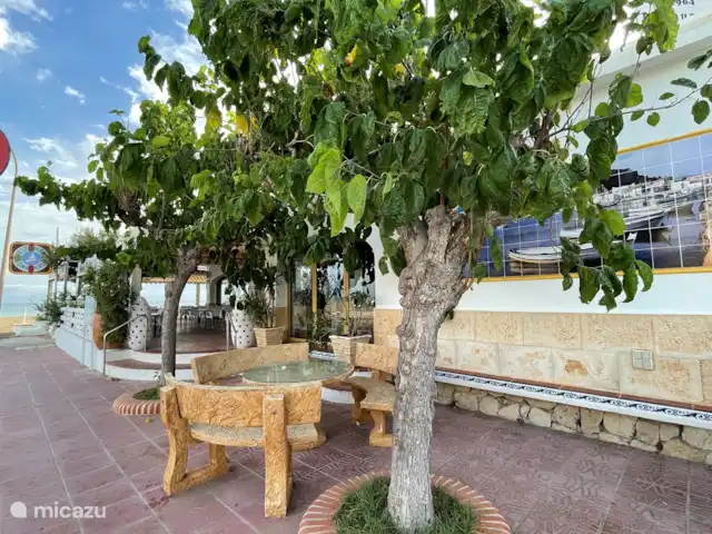 Casita de Dénia au bord de la mer! | Espagne, Costa Blanca, Dénia - appartement Rue de notre plage.