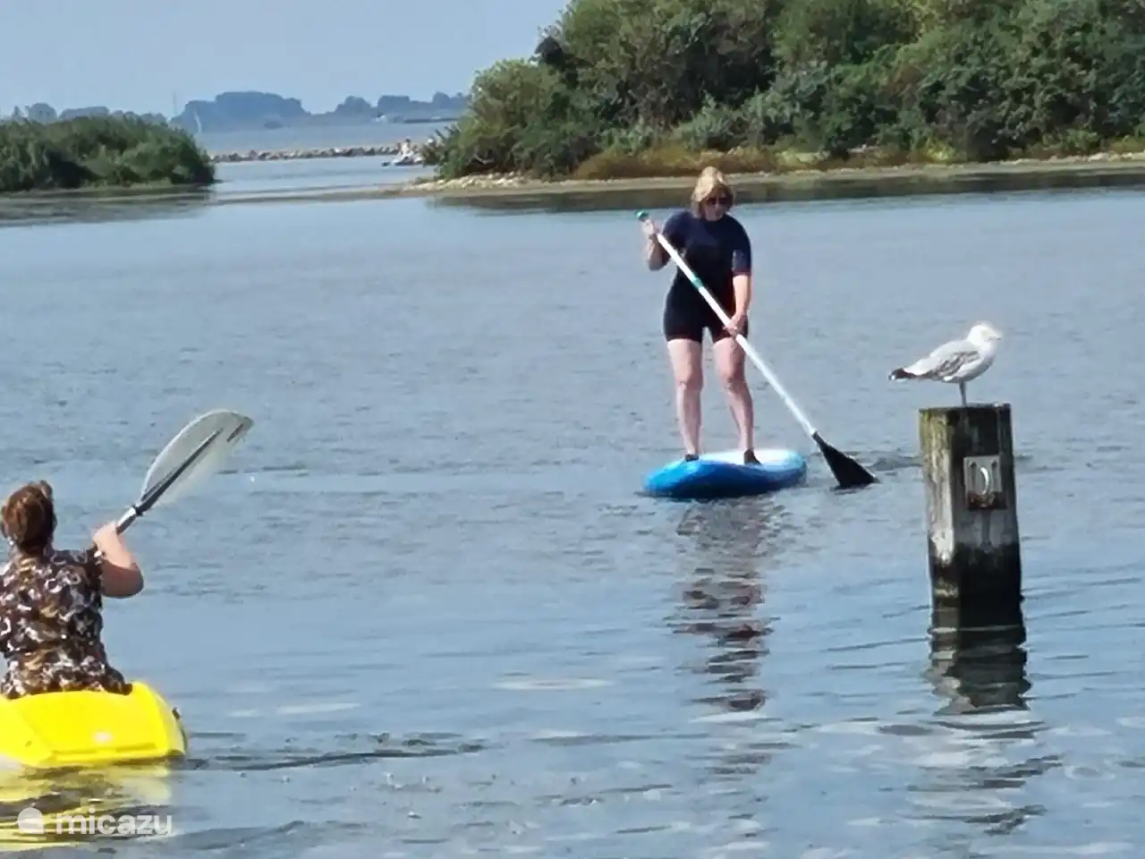 Souper délicieux sur le Grevelingenmeer