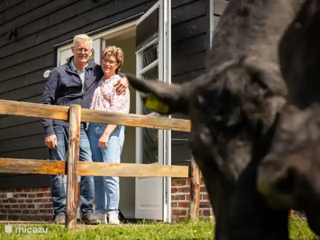 Huisje Met de kippen Op Stok/Sierkip huren in Nederland, Limburg, Baexem - vakantiehuis kom heerlijk genieten op ons erf