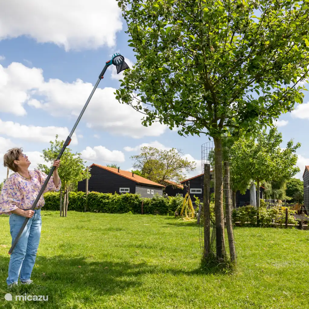 Huisje Met de kippen Op Stok/Sierkip