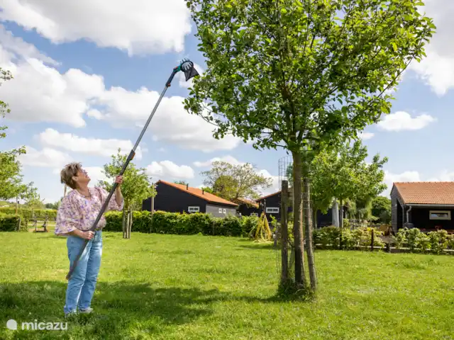 Huisje Met de kippen Op Stok/Sierkip huren in Nederland, Limburg, Baexem - vakantiehuis Je eigen fruit plukken met onze fruitplukker.
