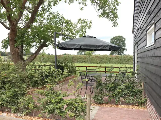 Huisje Met de kippen Op Stok/Sierkip huren in Nederland, Limburg, Baexem - vakantiehuis Decoratieve stenen.