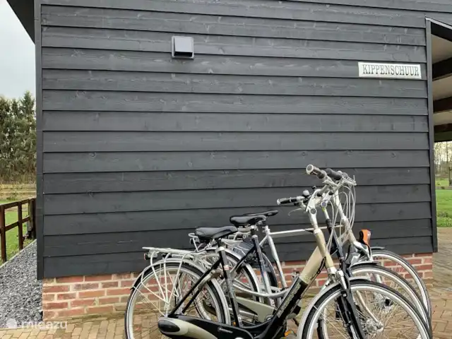 Huisje Met de kippen Op Stok/Sierkip huren in Nederland, Limburg, Baexem - vakantiehuis In de omgeving is het heerlijk fietsen. Fietsen zijn te huur in overleg. Ook elektrische fietsen zijn te huur.