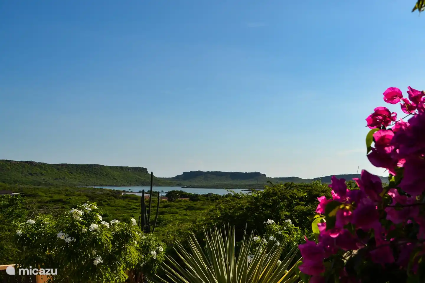 Blick von der Veranda auf die Salzpfannen von Jan Kok.