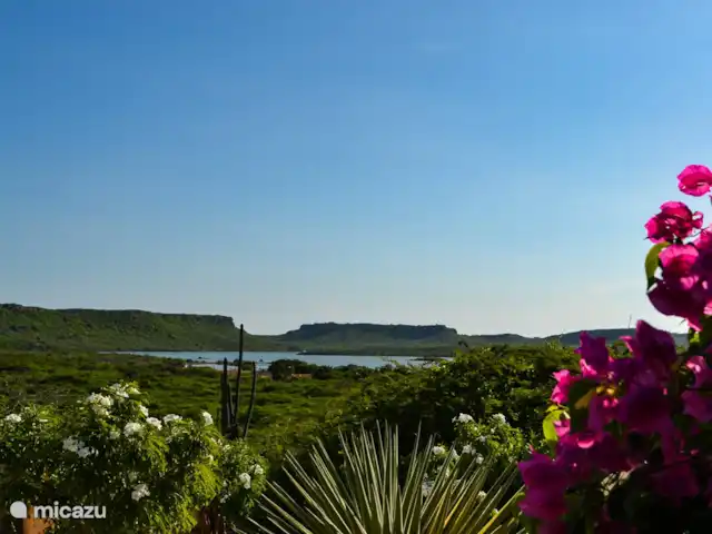 Flamingo View Lodge Alojamientos en Jan Kok en Curazao, Bandabou (oeste), Sint Willibrordus - studio Vista desde la veranda, las salinas de Jan Kok.