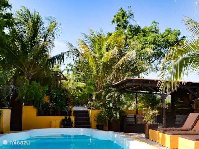 Flamingo View Lodge Alojamientos en Jan Kok en Curazao, Bandabou (oeste), Sint Willibrordus - studio La piscina está rodeada de tumbonas y palmeras que se balancean.