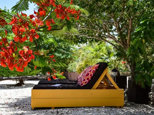 Flamingo View Lodge Alojamientos en Jan Kok en Curazao, Bandabou (oeste), Sint Willibrordus - studio Detalle en el jardín.