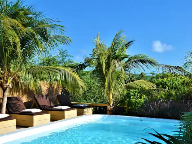 Flamingo View Lodge Alojamientos en Jan Kok en Curazao, Bandabou (oeste), Sint Willibrordus - studio La piscina está rodeada de tumbonas y palmeras que se balancean.