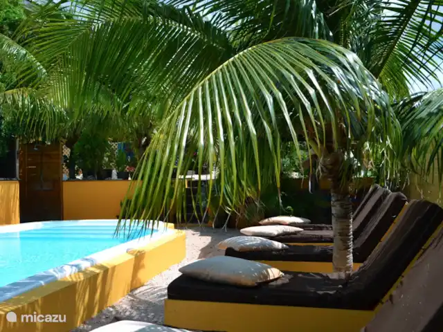 Flamingo View Lodge Alojamientos en Jan Kok en Curazao, Bandabou (oeste), Sint Willibrordus - studio La piscina está rodeada de tumbonas y palmeras que se balancean.