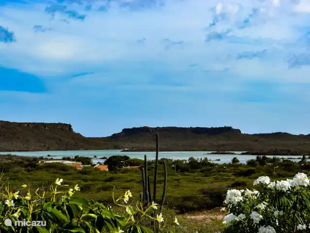 Flamingo View Lodge Alojamientos en Jan Kok en Curazao, Bandabou (oeste), Sint Willibrordus - studio Vista desde la veranda, las salinas de Jan Kok.