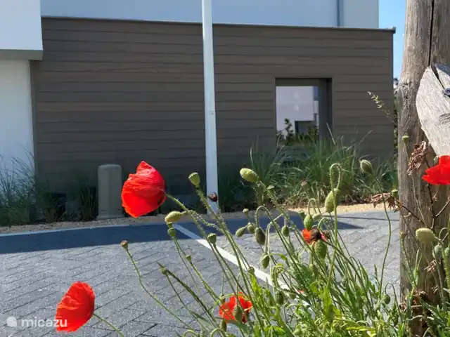 Oasis Blanco en Bélgica, Costa Belga, Oostduinkerke - casa vacacional