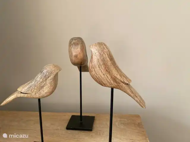 Oasis Blanco en Bélgica, Costa Belga, Oostduinkerke - casa vacacional