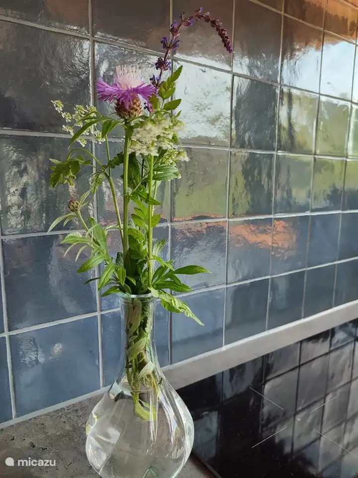 Eine Blume wartet bereits auf Sie.