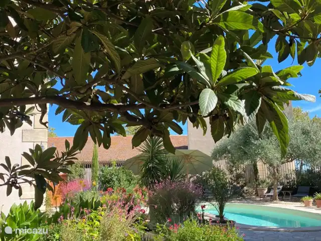 Wandelen, Frankrijk, Aude, Ginestas, appartement Maison du Midi, appartement Montano