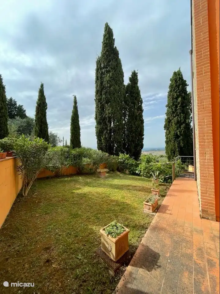 Der Hinterhof mit Rückansicht