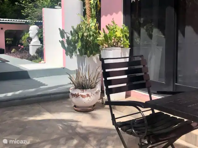 Studio dans un mini-complexe d’art | Curaçao, Banda Abou (ouest), Big Mountain - appartement Notre jardin spectaculaire avec une grande piscine (5 * 14 mètres), des lits de salon, des tabourets de bar de piscine et un bar en libre-service.