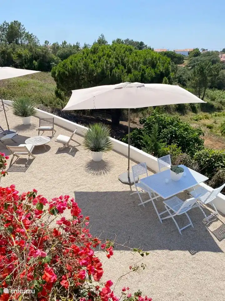 Die Bougainvillea klettert an der Garagenwand hoch.