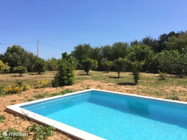 Casa Portuguesa en Portugal, Algarve, Moncarapacho - villa Amplia piscina privada de 8,5m por 4,5m
