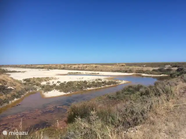 Casa Portuguesa en Portugal, Algarve, Moncarapacho - villa Ría Formosa