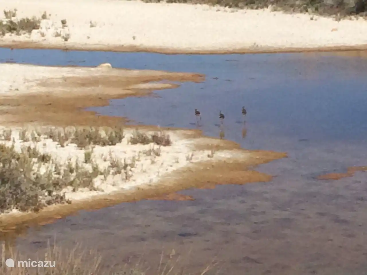 Ria Formosa mit Zugvögeln
