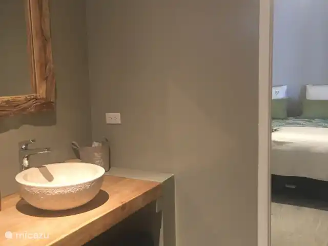 Location de Vacances Aruba, Nord, Nord, maison de vacances - Casita de luxe avec piscine privée Salle de bain douche, toilettes et lavabo décorés avec goût