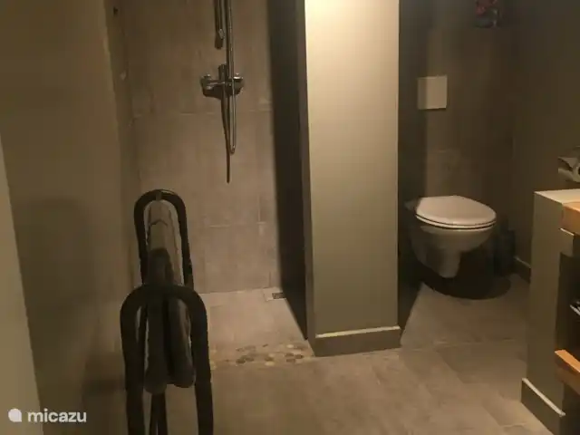 Location de Vacances Aruba, Nord, Nord, maison de vacances - Casita de luxe avec piscine privée Douche à l'italienne spacieuse avec gel douche Aruba Aloe Vera et savon pour les mains gratuits