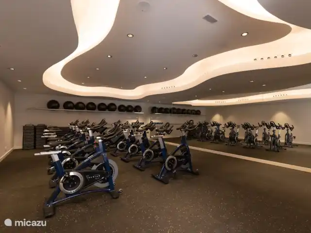 Estrella apartment - Vanian gardens huren in Spanje, Costa del Sol, Estepona - appartement Voldoende fietsen om de dag goed te beginnen met een workout.