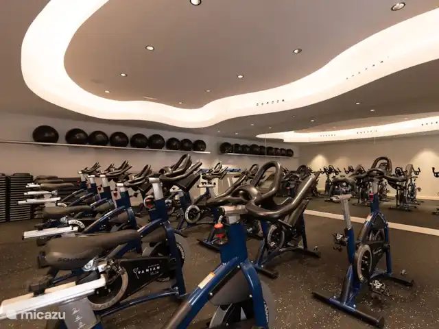 Estrella apartment - Vanian gardens huren in Spanje, Costa del Sol, Estepona - appartement Gym
