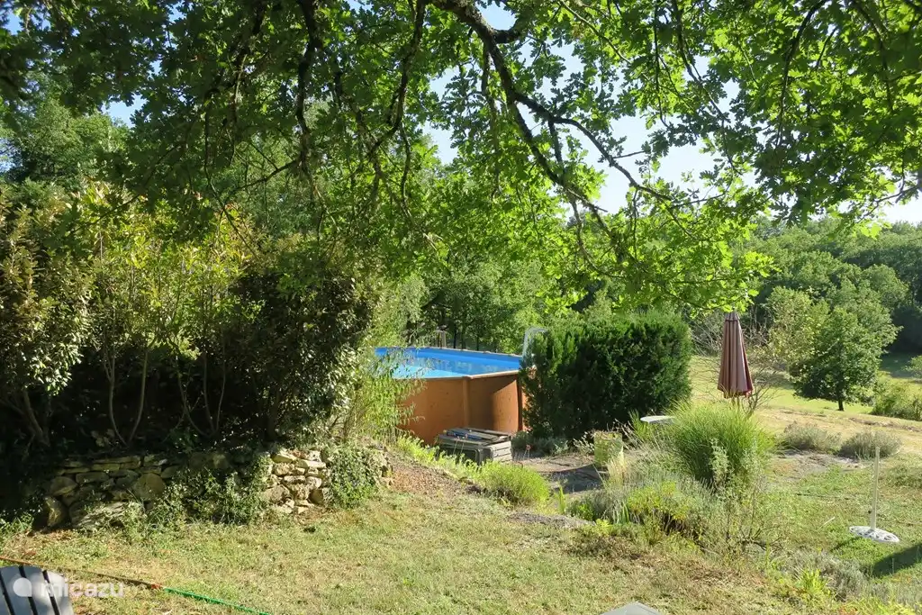 Del jardín a la piscina