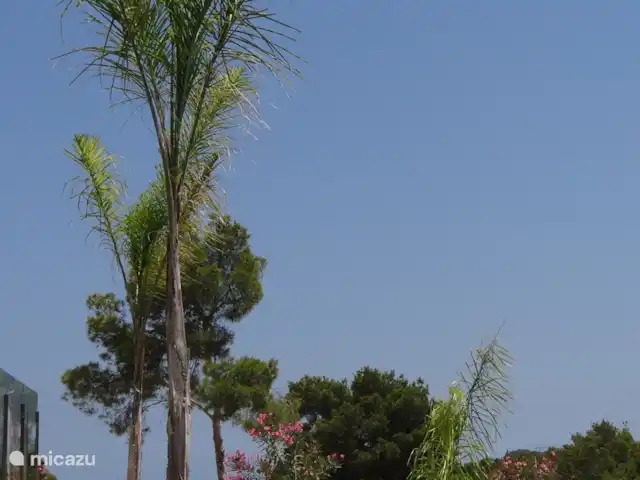 Casa Van Zaal | Espagne, Costa Blanca, Jávea - villa Piscine, vue jardin