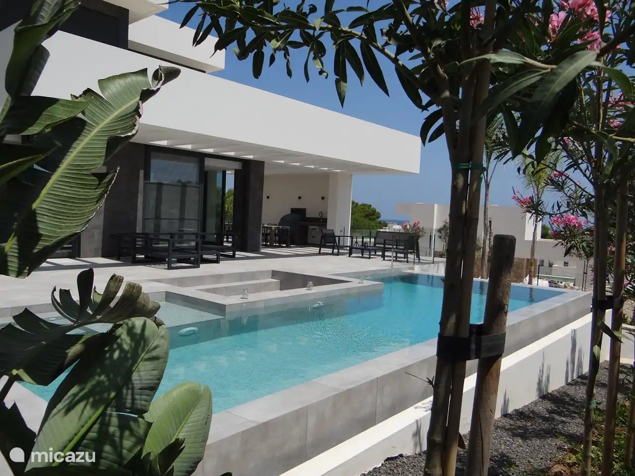 Swimming pool + terrace