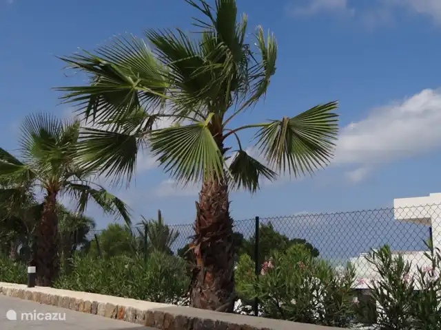 Casa Van Zaal | Espagne, Costa Blanca, Jávea - villa Allée